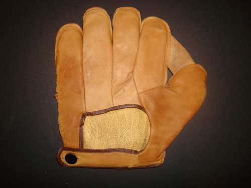 Playdays 1 Inch Web Back